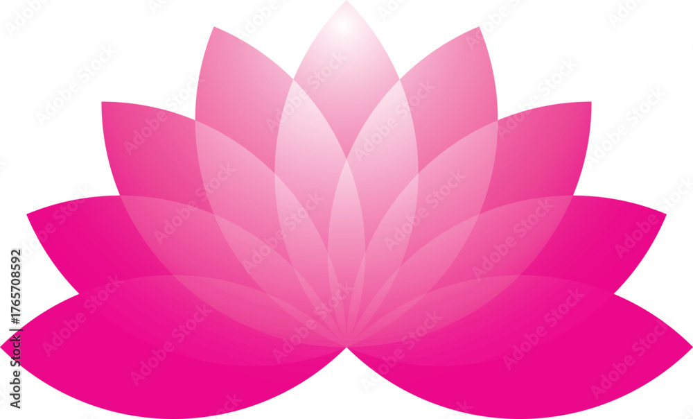 Fototapeta premium Pink Lotus Blossom Graphic Design