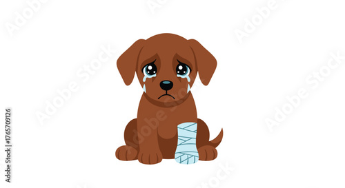 Sad puppy with bandaged paw looking forlornly at the viewer.