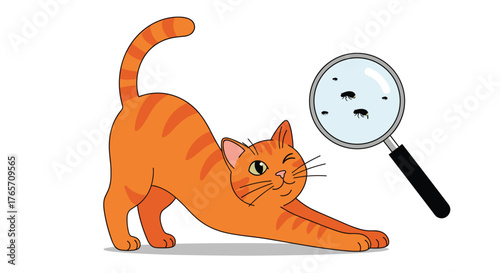 Orange cat stretching next to a magnifying glass showing fleas.