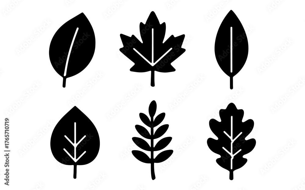 Fototapeta premium Silhouette leaf icons set for nature and design projects