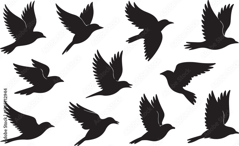 Obraz premium Set of Flying Birds Silhouettes - Dynamic Avian Freedom Vector Collection
