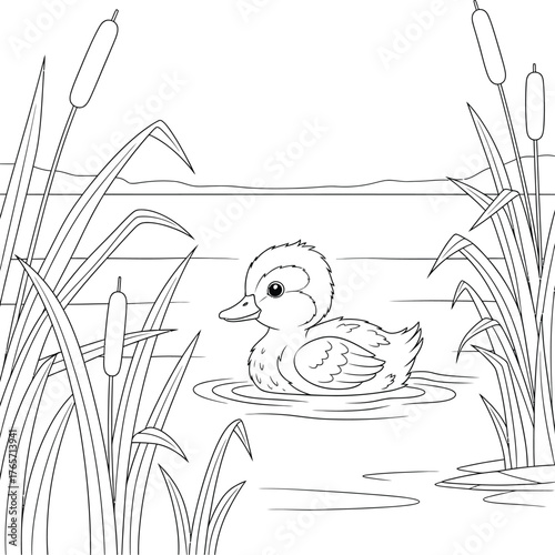 Cute Cartoon Duckling Swimming Among Cattails - Black and White Outline for Children's Coloring
