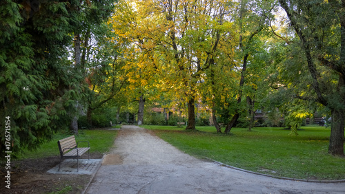 path in autumn park