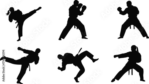 Martial arts silhouette, karate kick, taekwondo stance, self defense pose, black belt action, fighter training, combat movement, dojo discipline