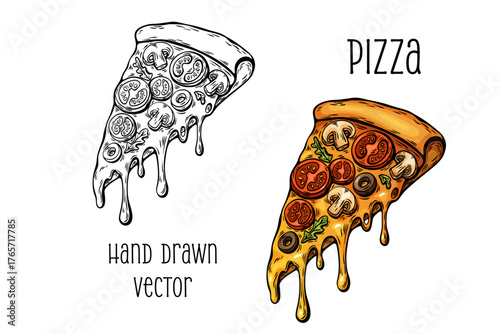 Pizza slice in color and black line art hand drawn vector