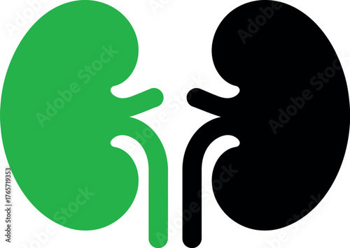Two kidneys, one green and one black, side by side, illustrating human anatomy, isolated on white background