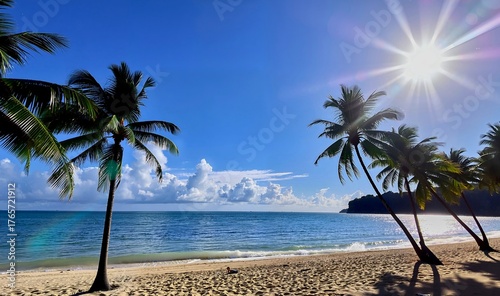 Fototapeta Naklejka Na Ścianę i Meble -   Karibischer Strand mit vielen Palmen und weißen Sand, Sonnenbänken. Sonniger warmer Tag am Meer ·   Palmen am Schwimmbad gegen den Himmel.Caribbean beach with many palm trees and white sand, sunbeds.