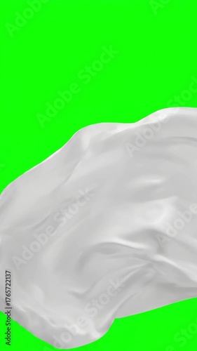 Clean Chroma Key Studio Production with woman hair blowing in the wind on green screen distortion, overlay, glitch, static noise, scan lines black background, 4k animated video loop