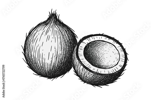 Detailed black and white tropical coconut and halved fruit showing inner flesh