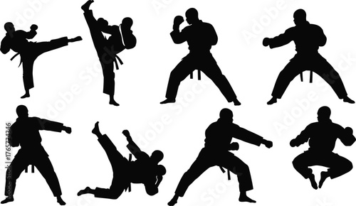 Silhouette, martial, arts, poses, kicking, punching, 