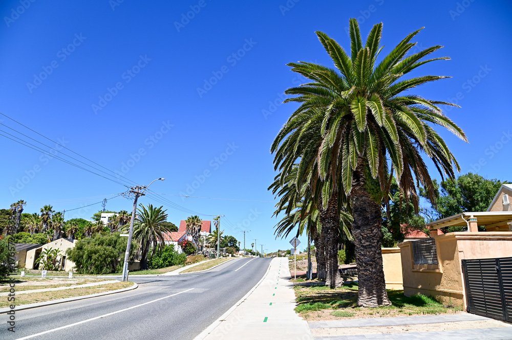 Fototapeta premium オーストラリアの郊外を通る道路の美しい風景