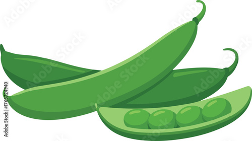 Fresh Green Pea Pods - Whole and Open Vegetable Vector Illustration