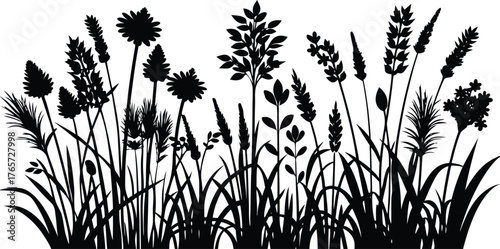 A detailed silhouette of various wild grasses and seed heads against a white background in a striking black and white design