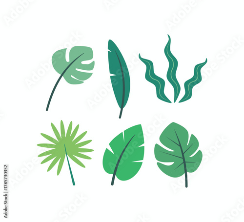Flat vector illustration set of various green tropical leaves, including monstera, banana leaf, and palm, ideal for summer, jungle, nature, and botanical designs