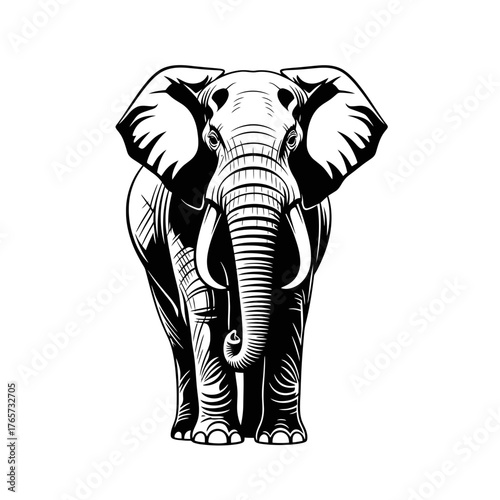 Wallpaper Mural Elephant Sketch Illustration – Wild Animal Outline Vector Drawing Torontodigital.ca