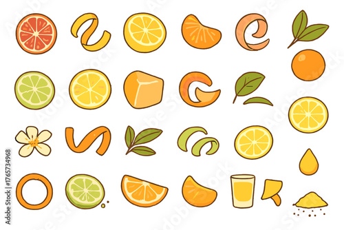 Hand-drawn citrus fruit and peel icon set in warm tones