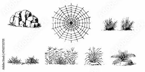 Collection of hand drawn black and white illustrations of natural elements including rocks spiderwebs and various plants