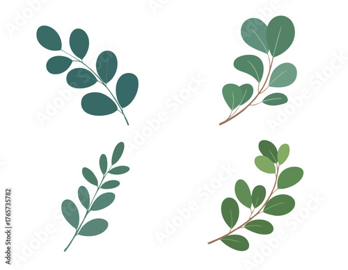 Image showing four plant sprigs with round and heartshaped leaves on white background