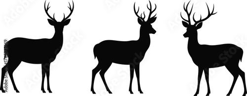 Silhouette illustration of three elegant dantlers by side, ntlers standing side by side, wildlife vector design, nature animal art, forest background