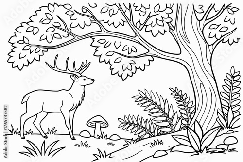 A serene woodland scene featuring a majestic stag standing among detailed oak trees, ferns, and various mushrooms, line art, coloring book page for adults, single continuous black line on white backgr