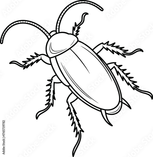 Detailed black and white cockroach vector illustration with segmented legs, antennae, insect anatomy, biology drawing, pest control educational graphic