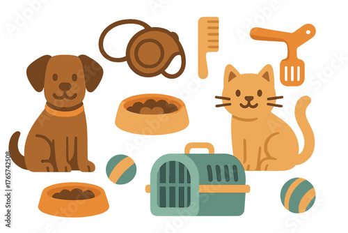Cute domestic dog and cat surrounded by essential pet care supplies and grooming tools