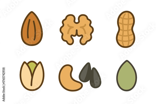 Set of popular healthy nuts and seeds including almond, walnut, peanut, pistachio, and cashew