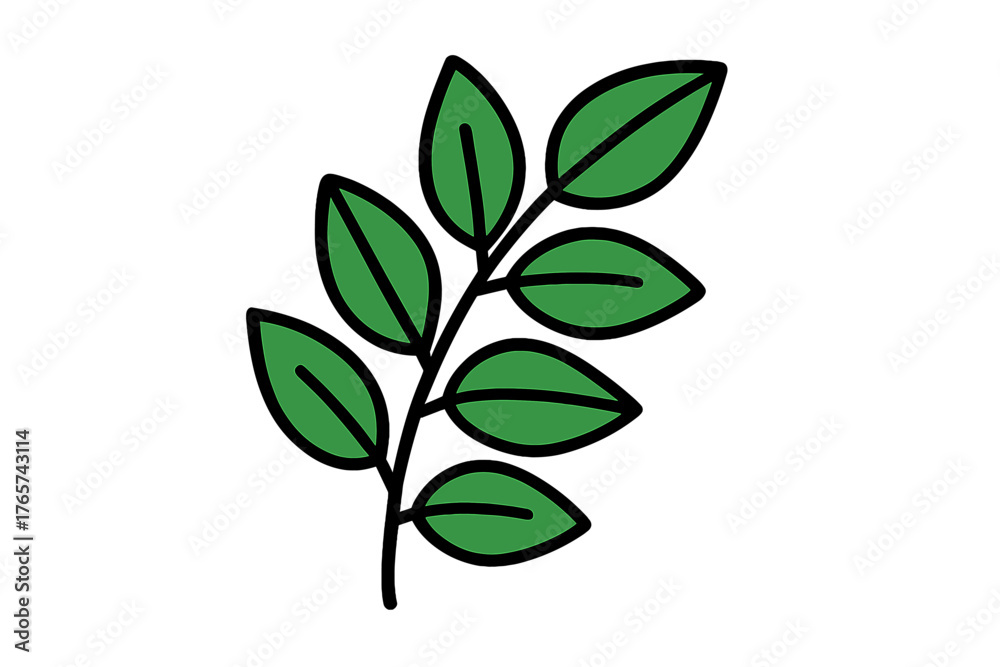 Fototapeta premium Minimalist design element showing a fresh green branch with multiple oval leaves on white