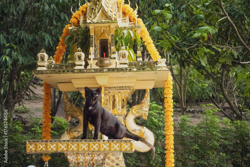 Vászonkép タイの守護霊を祀る祠（サーンプラプーム）の上で昼寝をする自由な黒猫