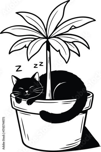 Black cat sleeping in a flower pot, cute and peaceful scene