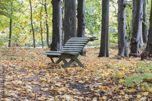 Park bench surrounded by autumn leaves