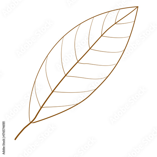 Simple hand-drawn brown leaf outline vector. Perfect for botanical design, autumn decoration, eco-friendly branding, and modern minimalist projects.