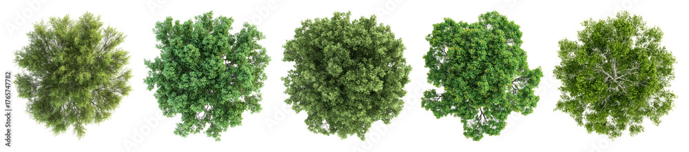 Fototapeta premium Lush green tree tops aerial