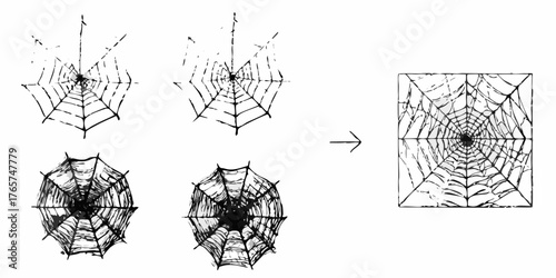 Hand drawn spider web illustrations showing progression and transformation into a square frame