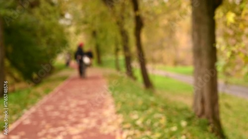 Wallpaper Mural autumn park alley yellow leaves defocused background Torontodigital.ca