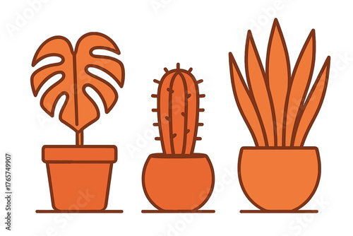Collection of three popular potted houseplants: Monstera, Cactus, and Succulent in warm orange tones
