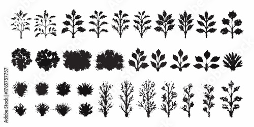 Collection of black silhouette botanical elements and plant sprigs with textured brush strokes