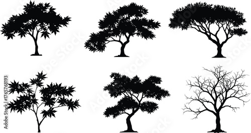 Tree silhouette set, diverse shapes, botanical illustration, forest design, nature asset, seasonal pack, solated