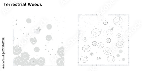 Abstract illustration of terrestrial weeds with circular and starburst shapes on a textured white background