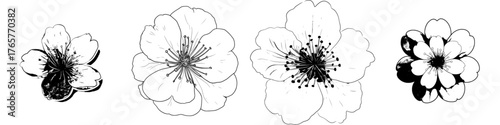 A modern illustration of a pink flower icon is shown isolated on a white background for decorative purposes