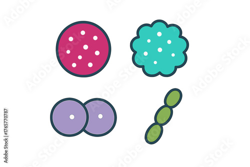 Colorful icons showing four types of bacterial morphology: coccus, diplococcus, streptococcus, staphylococcus