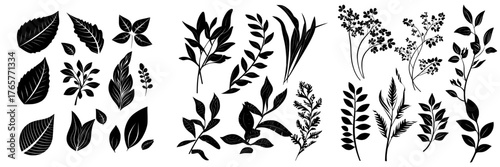 A modern illustration featuring abstract foliage collection and botanical futuristic elements in flat style isolated on white background