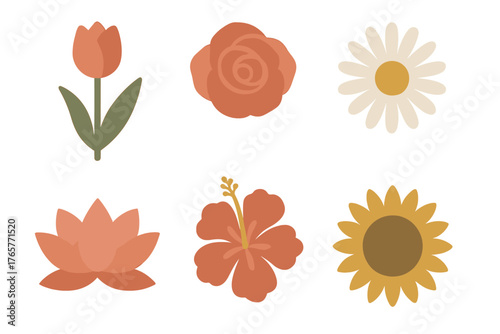Six stylized bohemian floral icons set in earthy terracotta and mustard colors