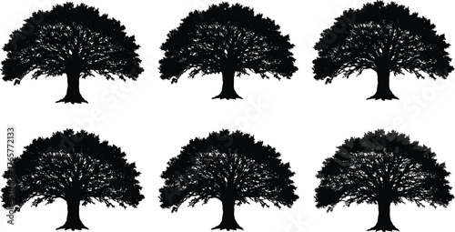 Tree silhouette set, isolated vector trees, nature clipart, forest icons, black tree shapes, editable design, anomaly detection, comparison