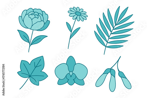 Set of six stylized teal botanical elements including peony, orchid, daisy, and tropical leaves
