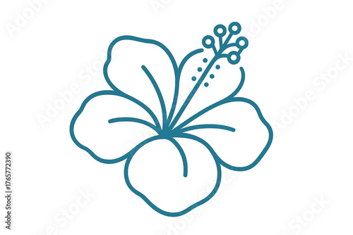 Minimalist tropical hibiscus flower blossom with stamen and pistil details