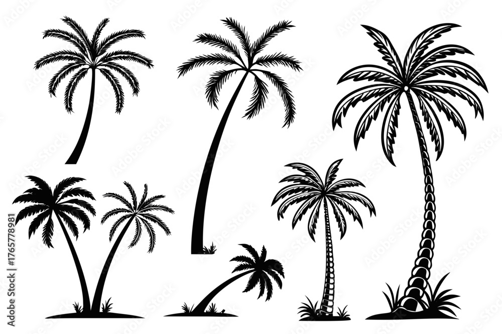 Obraz premium Tropical Palm Tree Silhouette Vector Collection Isolated on White Background