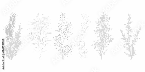 Collection of delicate grey botanical illustrations of various plants and branches on a white background
