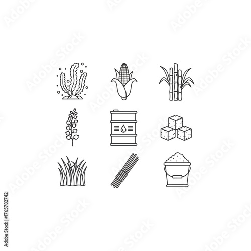 Bioenergy resources, biofuel production, plant-based renewable energy crops, agricultural raw materials icons