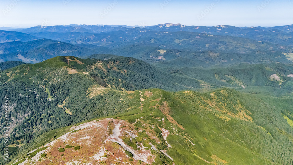 Fototapeta premium Aerial panorama of vast Carpathian mountain ranges covered with dense green forests and meadows, illuminated by bright summer sunlight under a clear blue sky